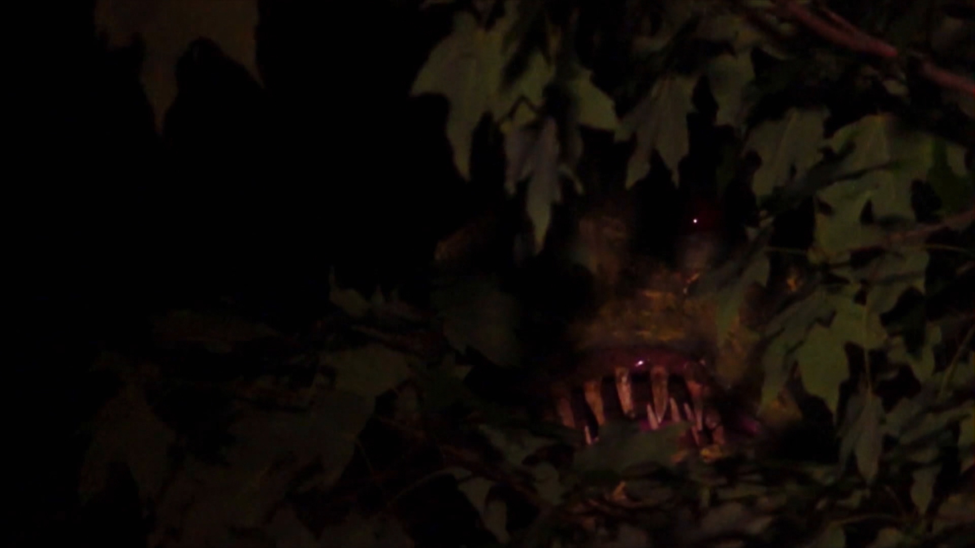 Die Monsterjäger Gefangene Monster Die Monsterjäger Gefangene Monster
