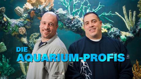 Die Aquarium-Profis