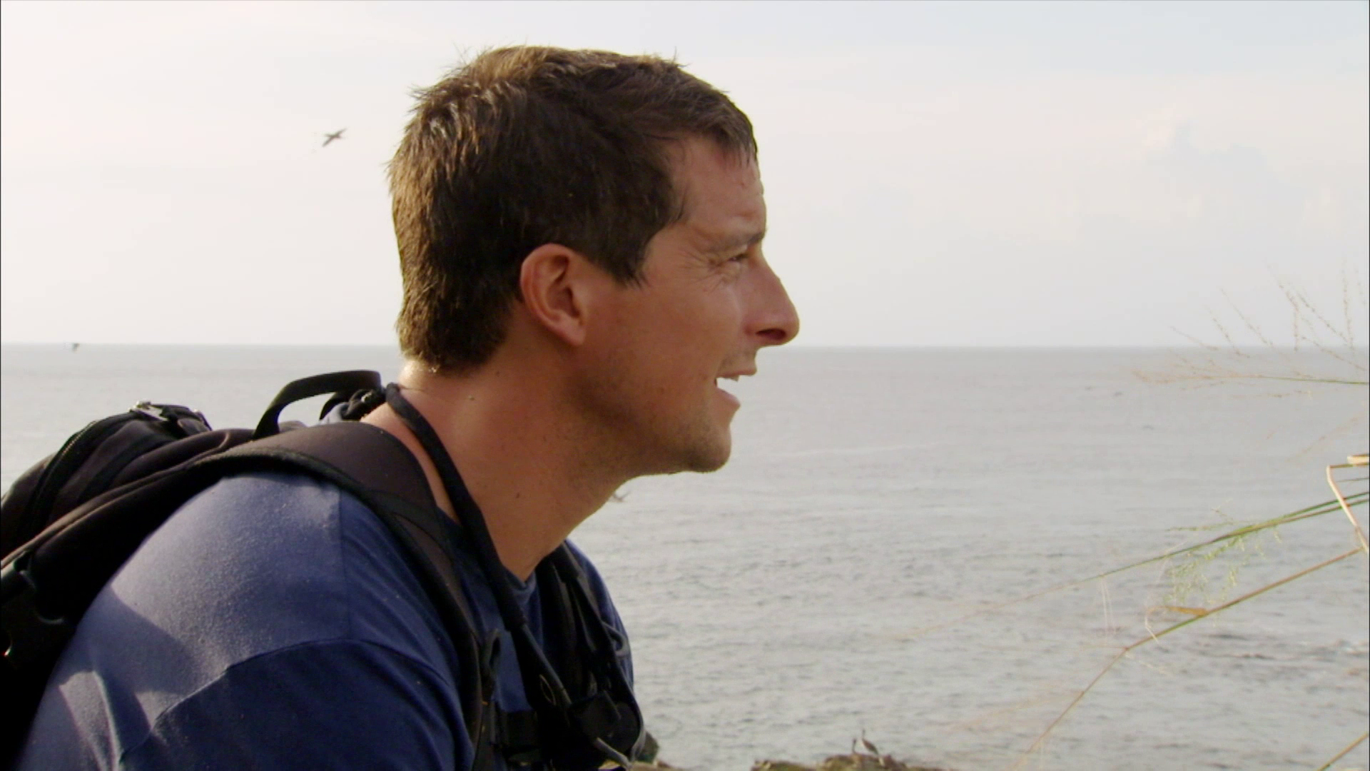 Dmax Ausgesetzt In Der Wildnis Ganze Folge Deutsch Ausgesetzt in der Wildnis - S04.F07: Auf den Pazifischen Inseln