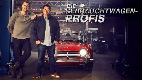 Die Gebrauchtwagen-Profis