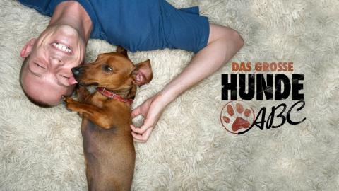 Das große Hunde-ABC