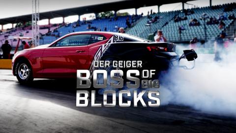 Der Geiger