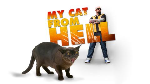 My Cat From Hell