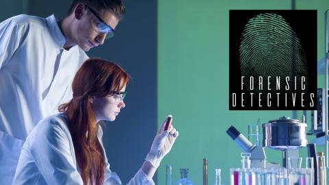 Forensic Detectives
