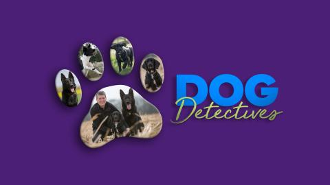 Dog Detectives