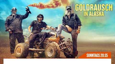 Dmax Schatzsucher Dmax Schatzsucher