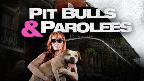 Pit Bulls & Parolees