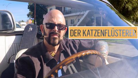 Der Katzenflüsterer