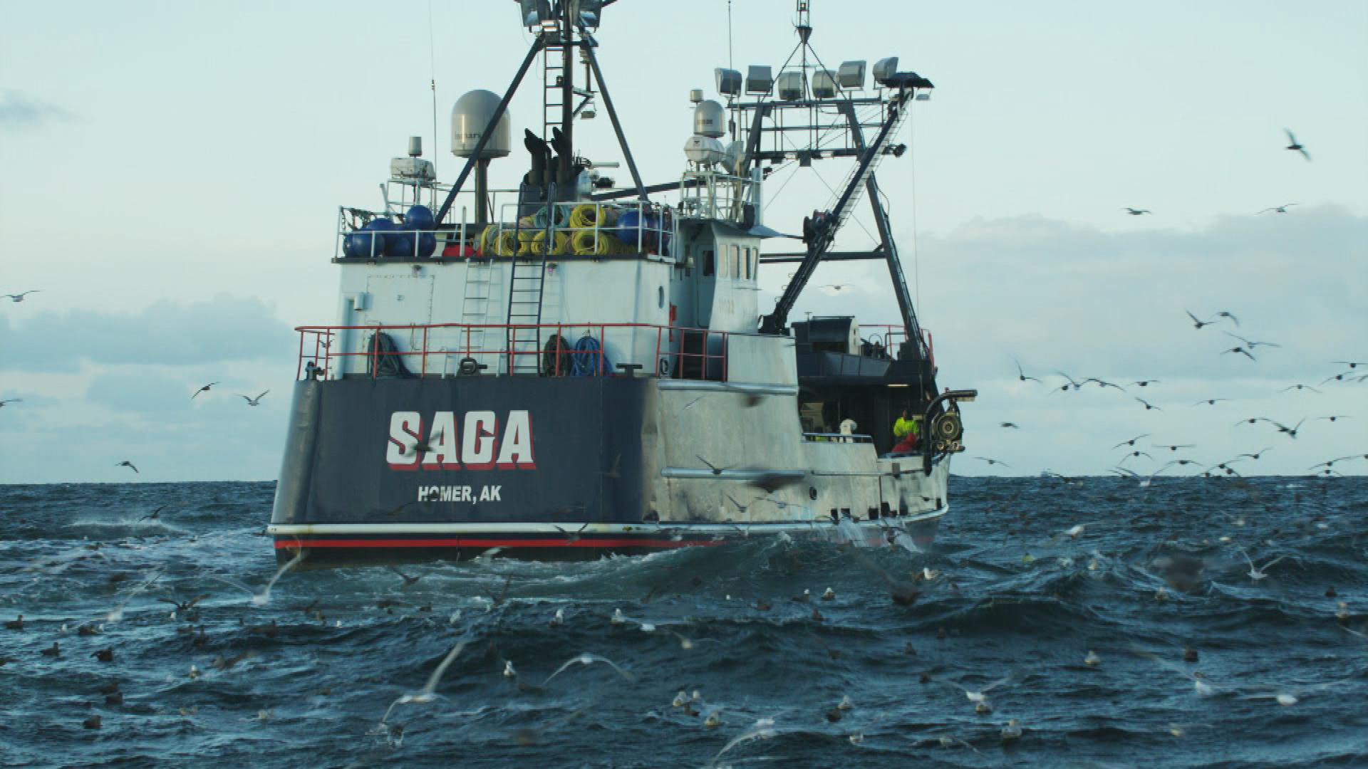 Dmax Fang Des Lebens