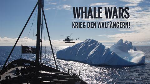Whale Wars - Krieg den Walfängern!