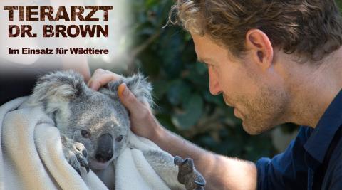 Tierarzt Dr. Brown - Im Einsatz für Wildtiere