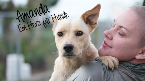 Amanda - Ein Herz für Hunde