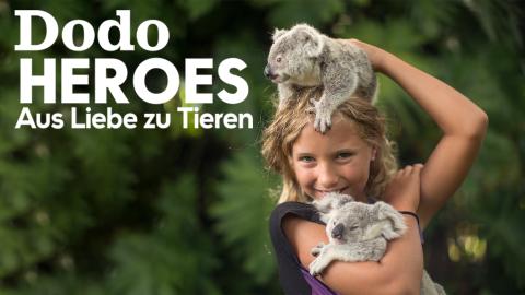 Dodo Heroes