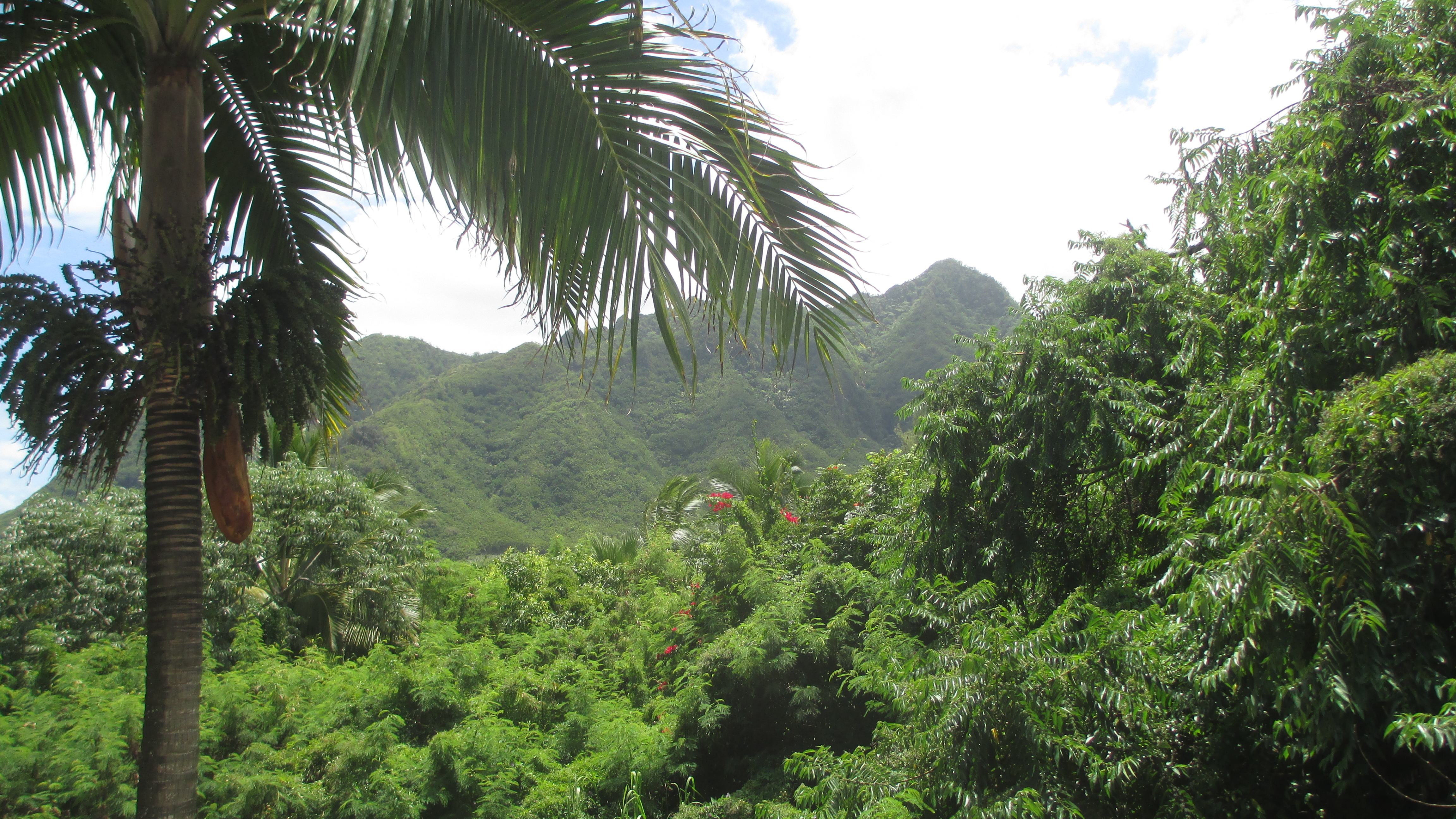 Chilly Philly To Warm Oahu