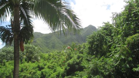 Chilly Philly To Warm Oahu