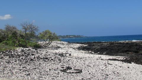 {E}05: From Baltimore To Hawaii