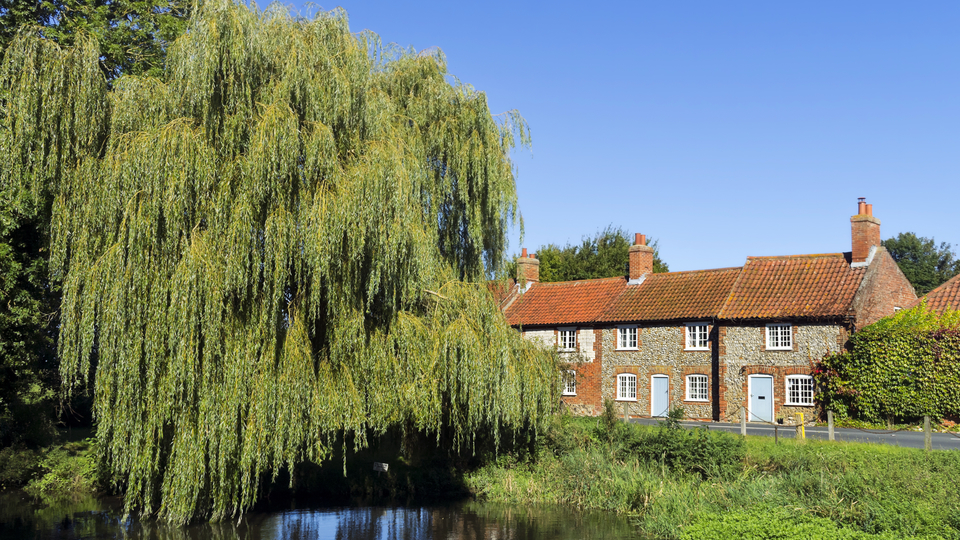 {S}15.{E}11. Episode 11