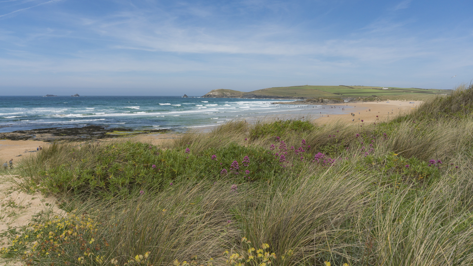 {S}15.{E}14. Episode 14