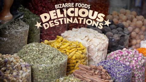 Bizarre Foods: Delicious Destinations