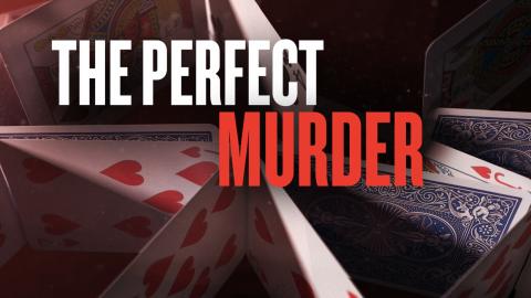 The Perfect Murder