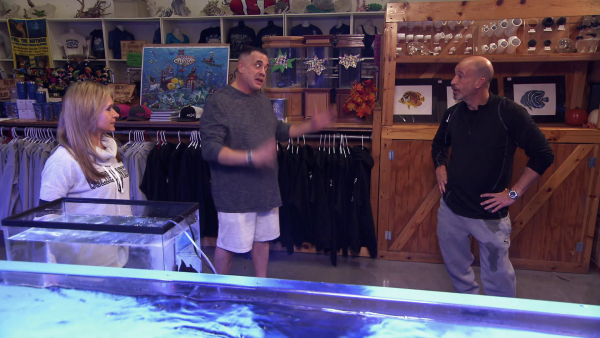 Tanked Tracy Morgan's Giant Shark Tank Revealed Tracy Morgan's Giant Shark Tank Revealed! | Tanked | Videos | discovery+