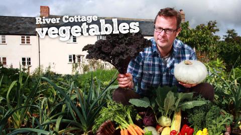 River Cottage Vegetables
