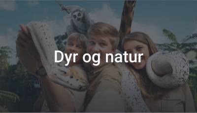 Kategorier Pa Discovery Discovery Kategorier Pa Discovery Discovery