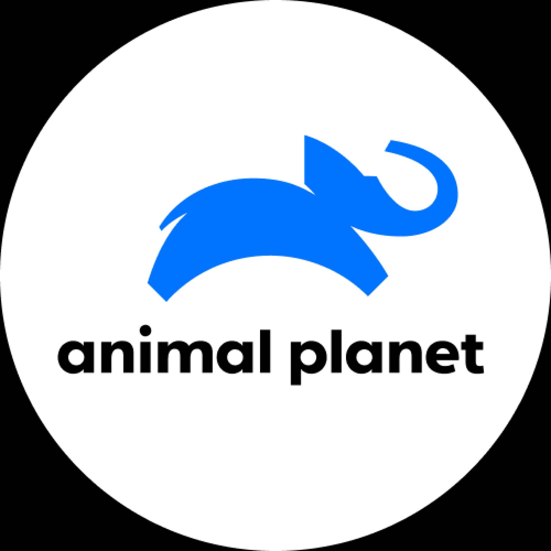 Animal Planet | Animal Planet | Networks | discovery+