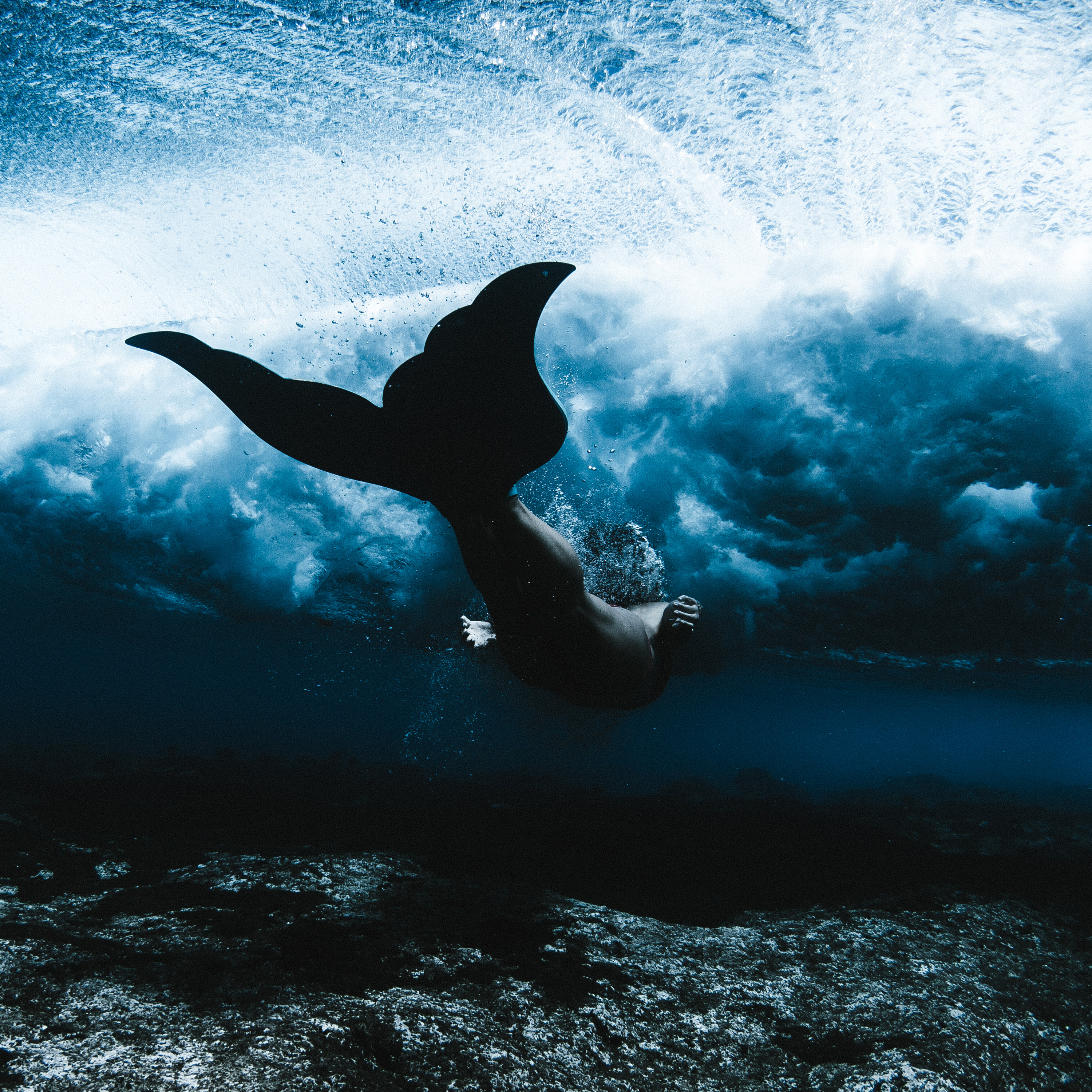 Mermaids New Evidence Discovery Channel