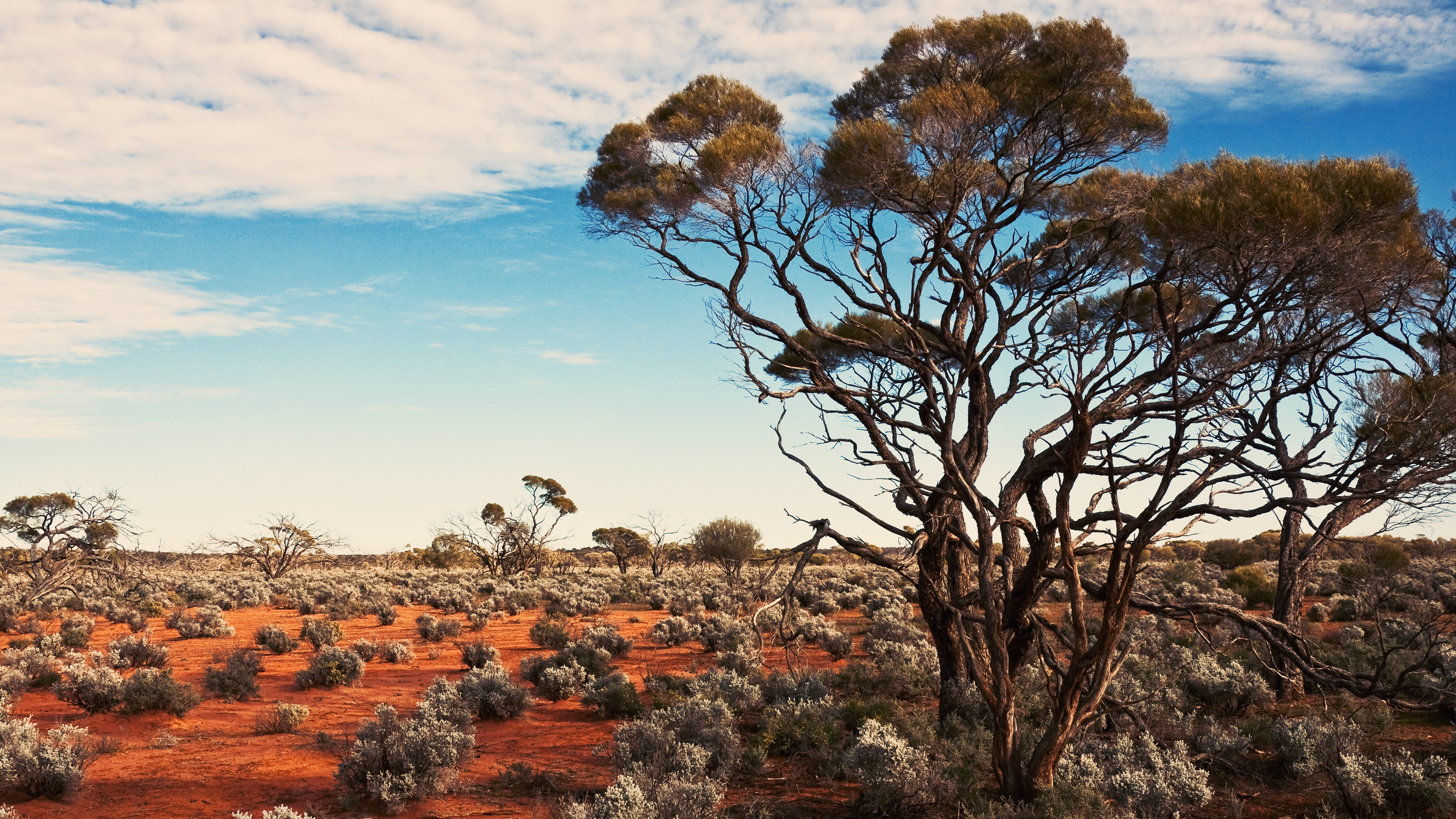 Deadly Snake Wrangler | Dirty Jobs Down Under | Videos | discovery+