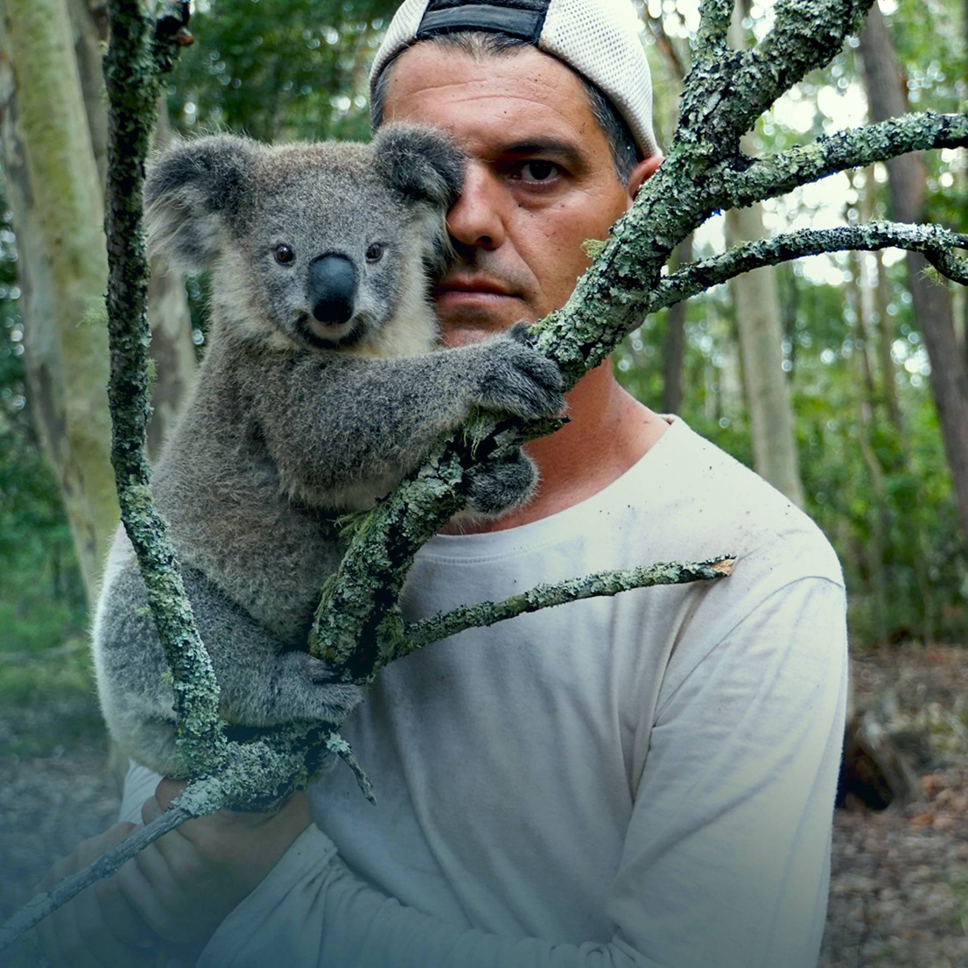 Wild Frank | Shows | discovery+ Wild Frank | Shows | discovery+