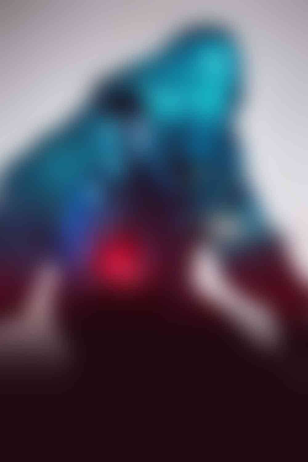 When Will Homestead Rescue Be Back On In 2022 discovery+