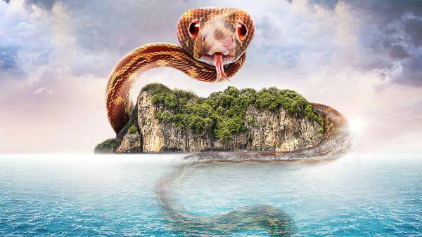 Die Schatzsucher Von Snake Island Season 4 Die Schatzsucher Von Snake Island | Shows | discovery+