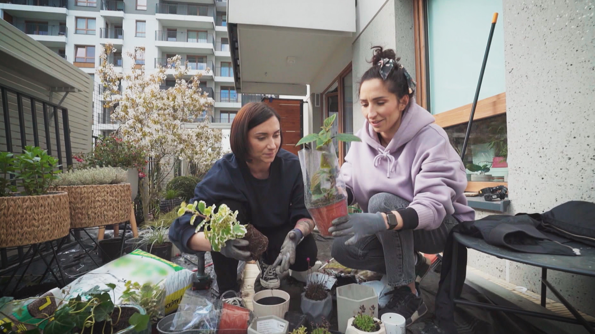 Die Beetschwestern Traumgärten leicht gemacht Der kleinste Garten