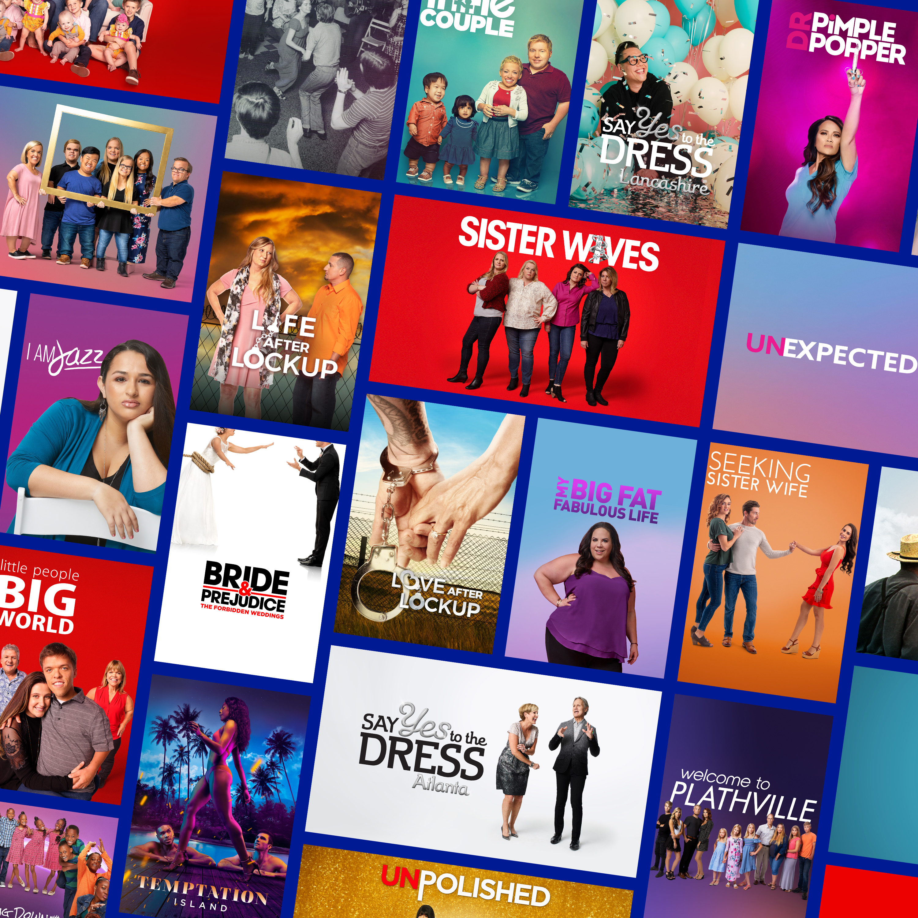 tlc-tlc-networks-discovery