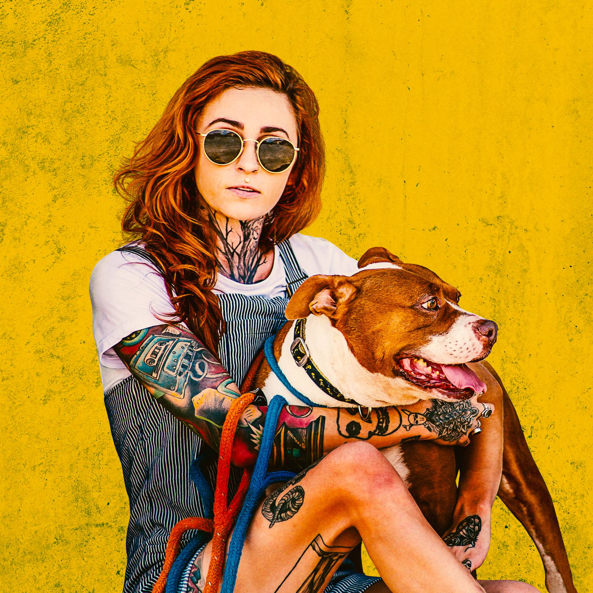 Pitbulls and parolees pitbulls for deals adoption