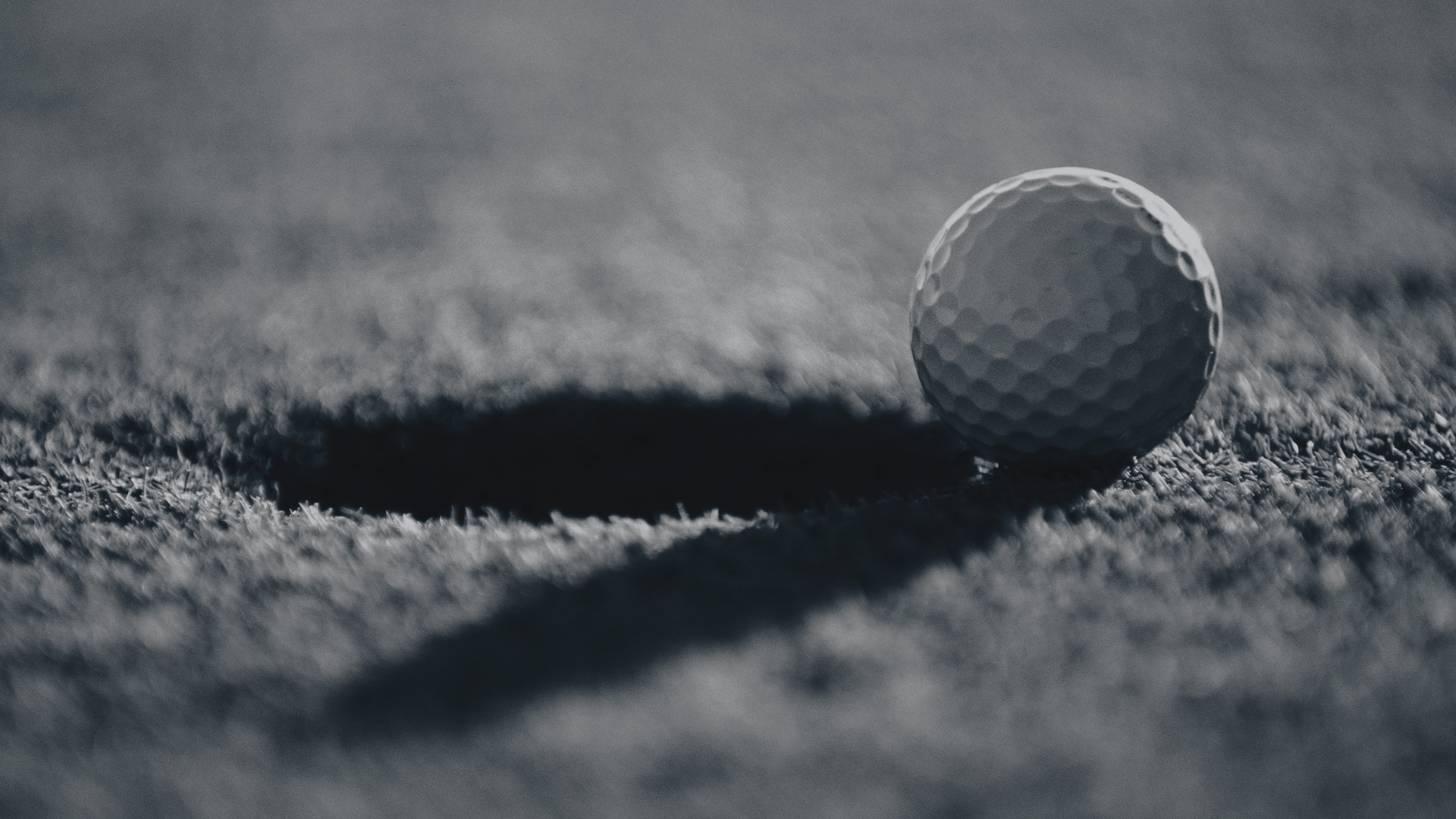 20 10 Barracuda Championship Dag 4 golf