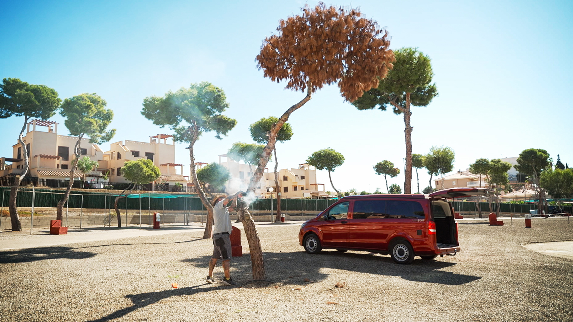 Der Platzwart Camping unter Palmen Traum oder Alptraum?